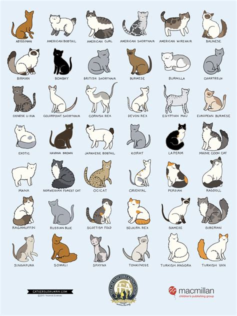Cat Breed Chart