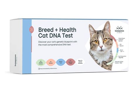 cat breed dna test