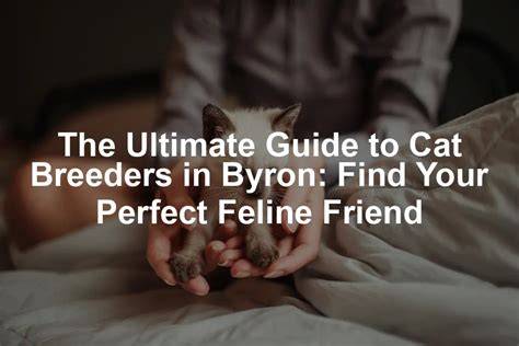 cat breeder byron