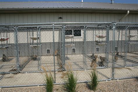 Cat Breeding Facility
