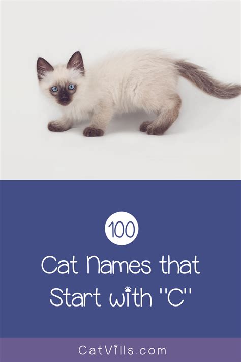 cat breeds that start with the letter c