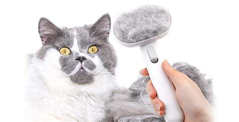 Cat Brush Love