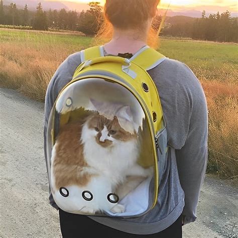 36 Top Pictures Clear Bubble Cat Backpack Amazon Com Halinfer Back