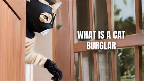 cat burglar