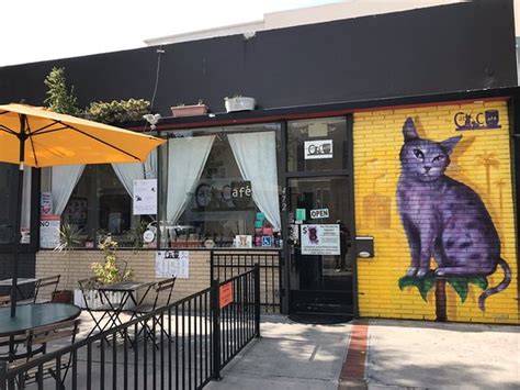 cat cafe in california