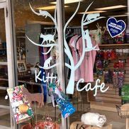 cat cafe kennett square pa