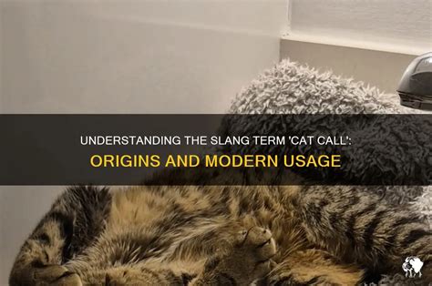 Cat Call Usage