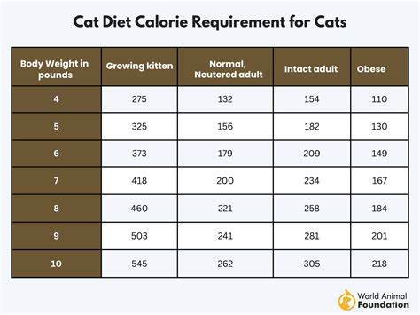 Cat Calorie Chart