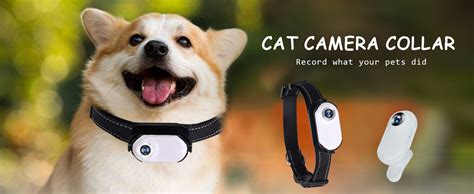 Cat Camera Collar Uk