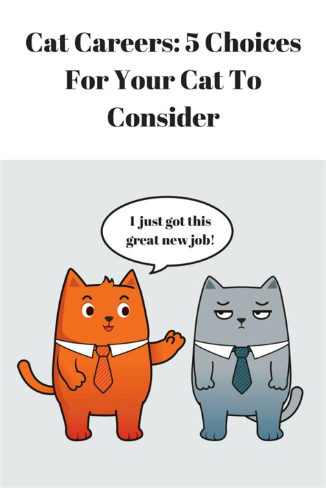 Purrfectly Ambitious: Exploring Exciting Cat Careers for Animal Lovers