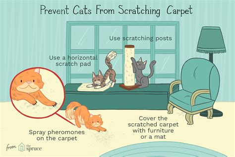 Cat Carpet Scratching