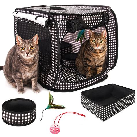 cat carrier same day delivery