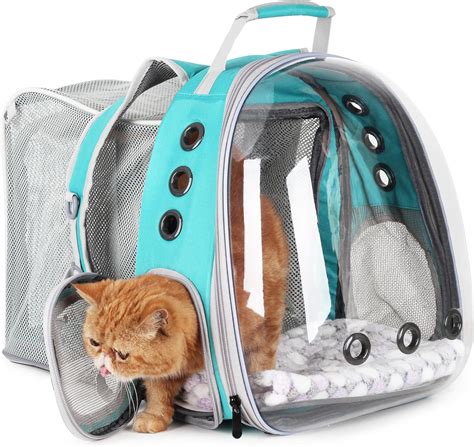 Cat Carrier Walking