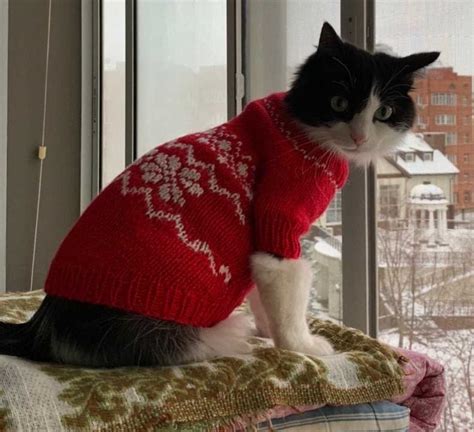 Cat Coat Knitting Pattern Download
