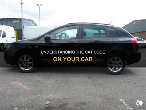 Cat Code Number