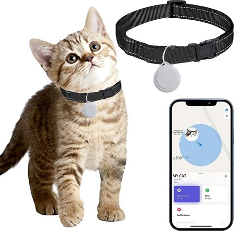 Cat Collars Tracking