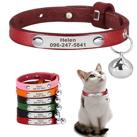 cat collars with names
