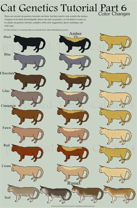 Cat Color Pattern Genetics