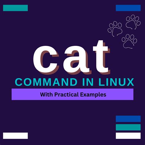 Cat Command In Groovy