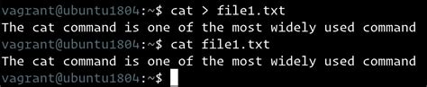 Cat Command To File