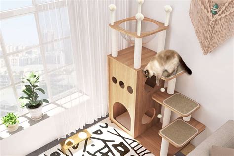 Cat Condo Tips