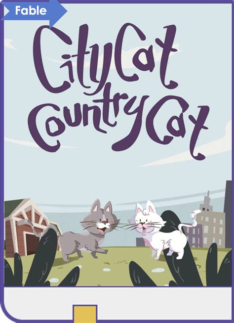 Cat Country Code