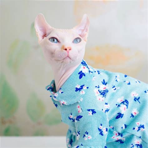 Cat Cute Clothes