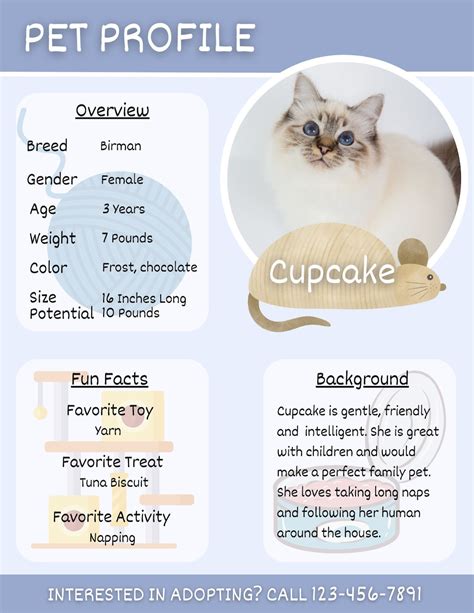 Cat Description For Adoption