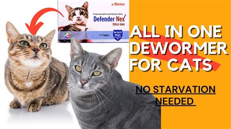 Cat Dewormer Instructions