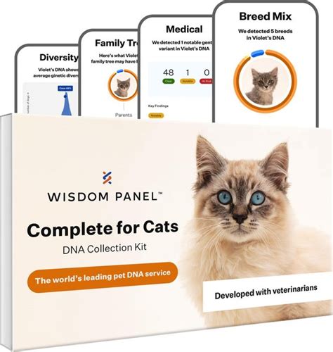 cat dna test