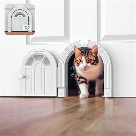 Cat Door Amazon.ca