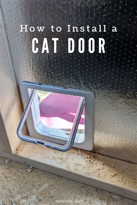 Cat Door Installation Rangiora