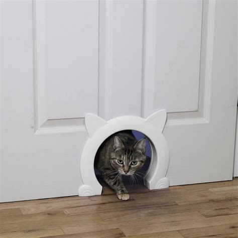 Cat Door Thru Wall