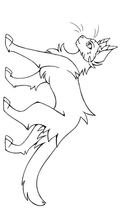 cat drawing base