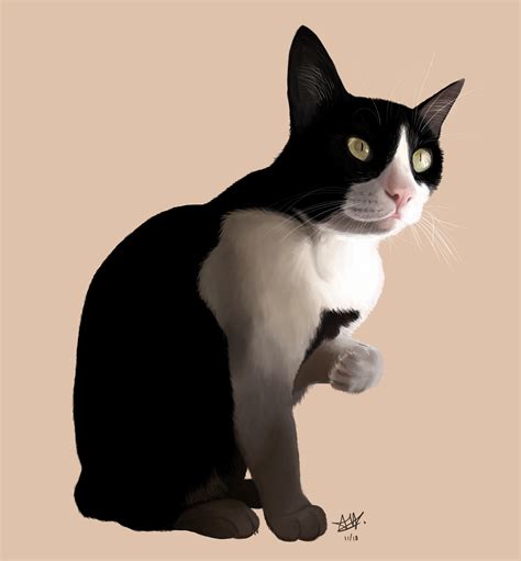 cat drawing digital