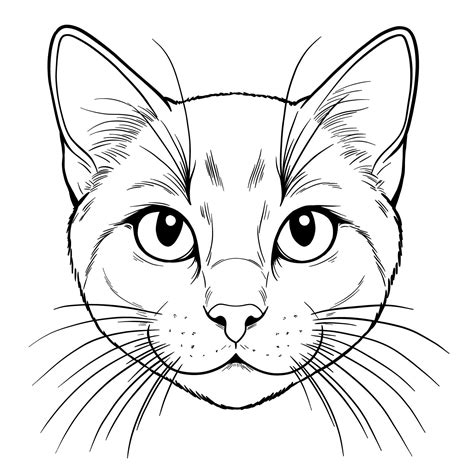 cat drawing face