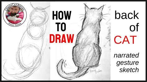 cat drawing from behind
