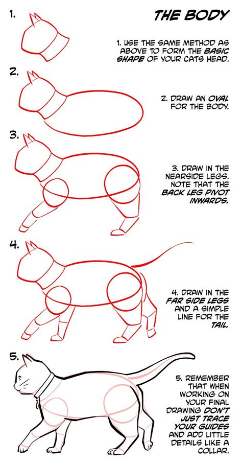 cat drawing guide