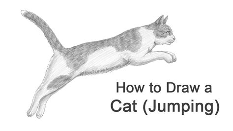 Cat Drawing Jumping