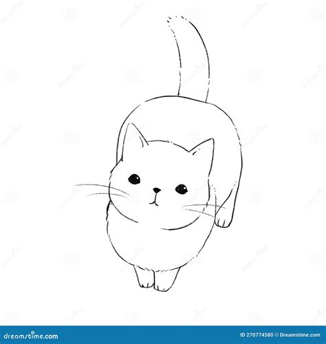 cat drawing looking up