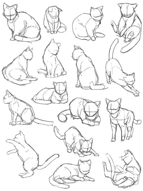 cat drawing model