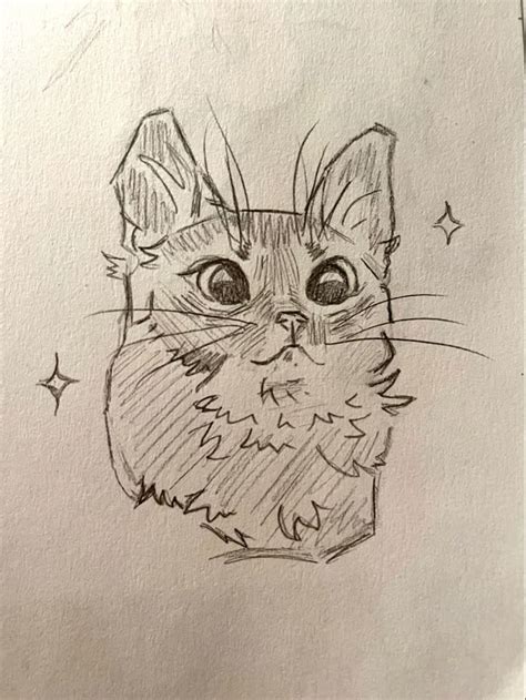 cat drawing pinterest