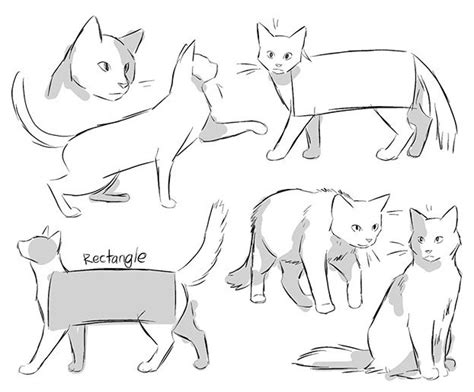 cat drawing reference easy