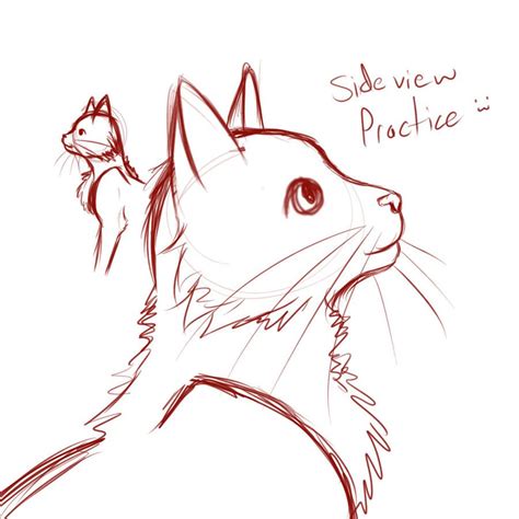 cat drawing side view