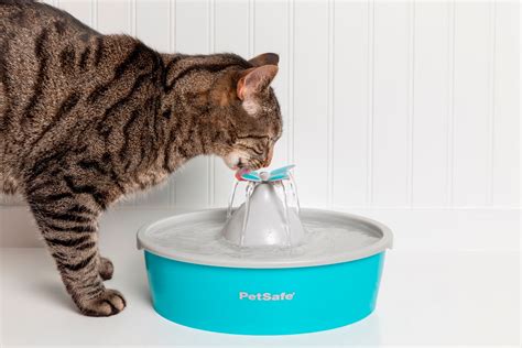 Cat Drinking Fountain Drinkwell
