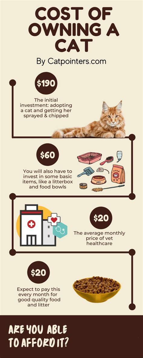 Cat expenses