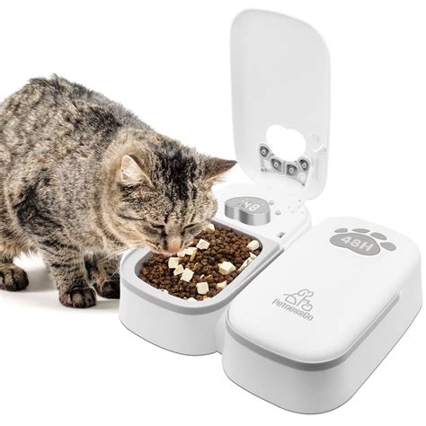 Cat Feeder Linked To Microchip