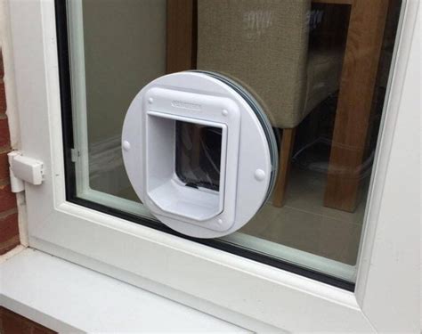 Cat Flap Circular Hole