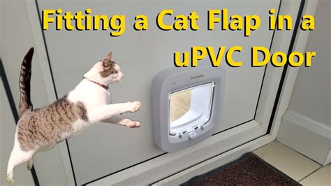 Cat Flap Fitting Exeter
