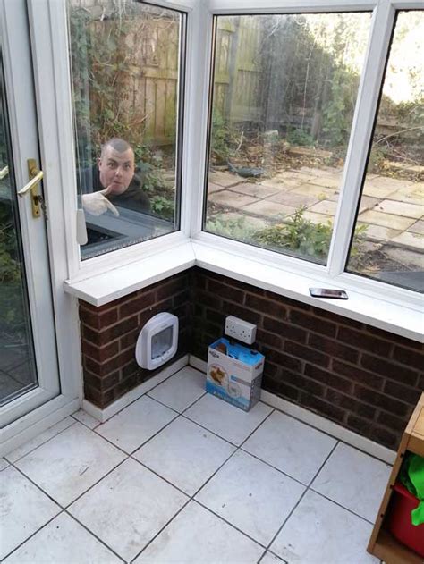 Cat Flaps Through Brick Walls